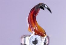 Research: Magnetic teeth hold promise for materials and energy —