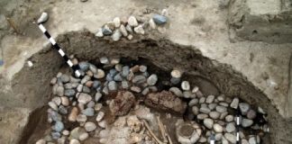 Research: Complex interplay of genes and cultures —