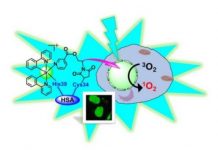 Research: Simply shining light on ‘dinosaur metal’ compound kills cancer cells —
