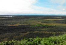 Research: Early spring rain boosts methane from thawing permafrost by 30 percent —