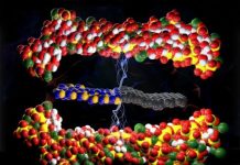 Tech: Nano-infused ceramic could report on its own health — (Report)