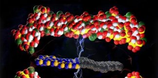 Tech: Nano-infused ceramic could report on its own health — (Report)