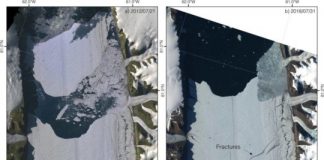 Research: Researchers have observed an increased flow speed on the glacier and predict a further acceleration if a calving event occurs —