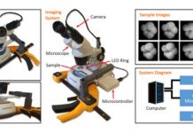 Research: Artificial intelligence can identify microscopic marine organisms —