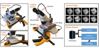 Research: Artificial intelligence can identify microscopic marine organisms —