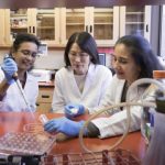 Study: Kidneys can repair themselves after birth — and that’s good news — (Details)