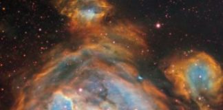 Research: Bubbles of brand new stars —