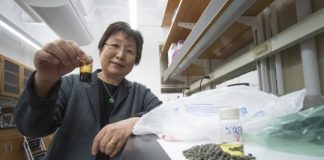 Research: Chemical conversion process could transform polyolefin waste —