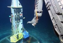 Research: Cutting-edge molecular methods reveal unusual metabolism of extreme microbes —