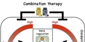 Study: Scientists links genomic, metabolic processes in cells’ evasive strategies as they metastasize — (Details)