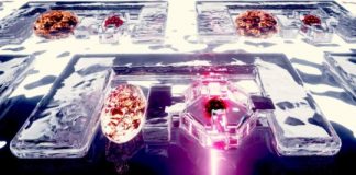 Tech: Gummy-like robots that could help prevent disease — (Report)