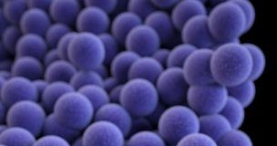 Study: Two genes may make staph infections resistant to copper, a powerful antibacterial agent — (Details)