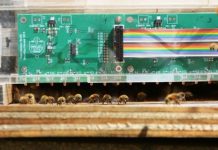 Research: Detecting the ventilation strategy of honey bees —