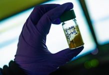 Research: Chemists discover way to simplify synthesis of valuable precursor for drugs, other compounds —