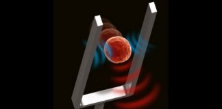 Study: Technique sheds light on cells’ health and development; may be useful for precision medicine — (Details)