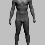 Study: Research team at the University of Göttingen disproves previous assumptions — (Details)