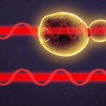 Study: Investigating cell stress for better health — and better beer — (Details)