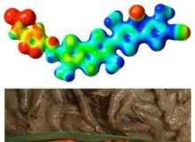 Tech: Swiss scientists have developed probes designed to reveal the physical forces inside living cells; a world first — (Report)