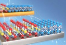 Tech: Phase transition dynamics in two-dimensional materials — (Report)