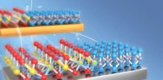 Tech: Phase transition dynamics in two-dimensional materials — (Report)