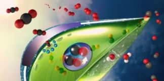 Research: Moving artificial leaves out of the lab and into the air —