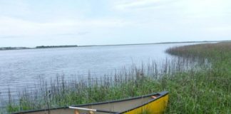 Research: New clues to predict tipping points for marsh survival —
