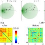 Study: Summing a constant may help to detect synchronized brain activity — (Details)
