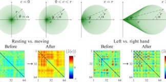 Study: Summing a constant may help to detect synchronized brain activity — (Details)