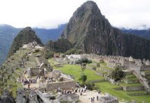 Research: Biocolonizer species are putting the conservation of the granite at Machu Picchu at risk —