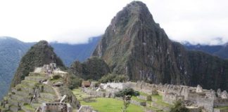 Research: Biocolonizer species are putting the conservation of the granite at Machu Picchu at risk —