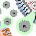 Study: Platinum nanoparticles for selective treatment of liver cancer cells — (Details)