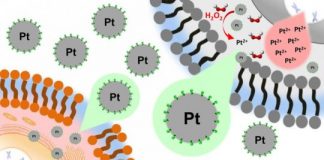 Study: Platinum nanoparticles for selective treatment of liver cancer cells — (Details)