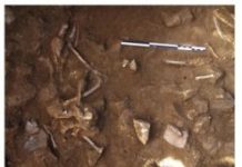 Research: Dog burial as common ritual in Neolithic populations of north-eastern Iberian Peninsula —