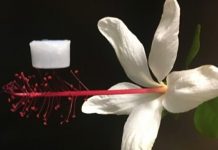 Research: Highly durable aerogel could ultimately be an upgrade for insulation on spacecraft —