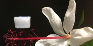 Research: Highly durable aerogel could ultimately be an upgrade for insulation on spacecraft —