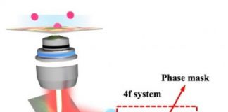 Tech: Fluorescent microscopy adds a new dimension — (Report)