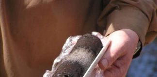 Research: Preserved leaves reveal 7000 years of rainfall and drought —