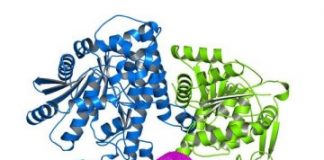Study: Linking sensing to signaling during plant immunity — (Details)