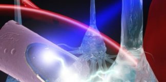 Study: Bioengineers create ultrasmall, light-activated electrode for neural stimulation — (Details)