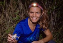 Research: Hope for fighting disease known as Ebola of frogs —