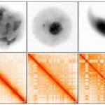 Study: Study reveals crucial developmental period for father’s ability to produce offspring — (Details)