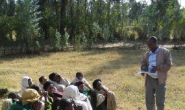 Research: A shared past for East Africa’s hunter-gatherers —