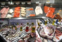 Research: Fishing boats now travel more than 250 miles to catch the fish that used to be in local waters —