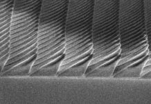 Tech: Firefly-inspired surfaces improve efficiency of LED lightbulbs — (Report)