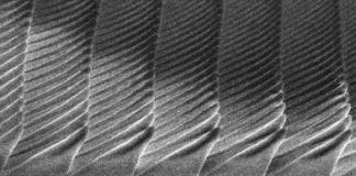 Tech: Firefly-inspired surfaces improve efficiency of LED lightbulbs — (Report)