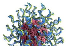 Tech: Novel approach will aid scientists in optimizing SNAs as therapeutic vaccines to treat cancer — (Report)