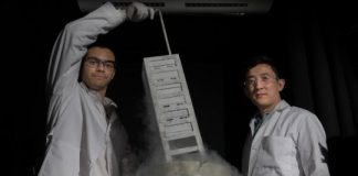 Study: New nanoparticle makes urine glow as soon as T cells initiate an attack on transplanted organs — (Details)