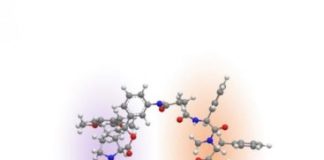 Study: Drug ‘librarian’ discovers new compound that may thwart common surgery complication — (Details)