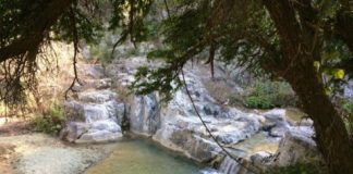 Research: A volcanic binge and its frosty hangover —