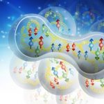 Study: Correlated nucleons may solve 35-year-old mystery — (Details)